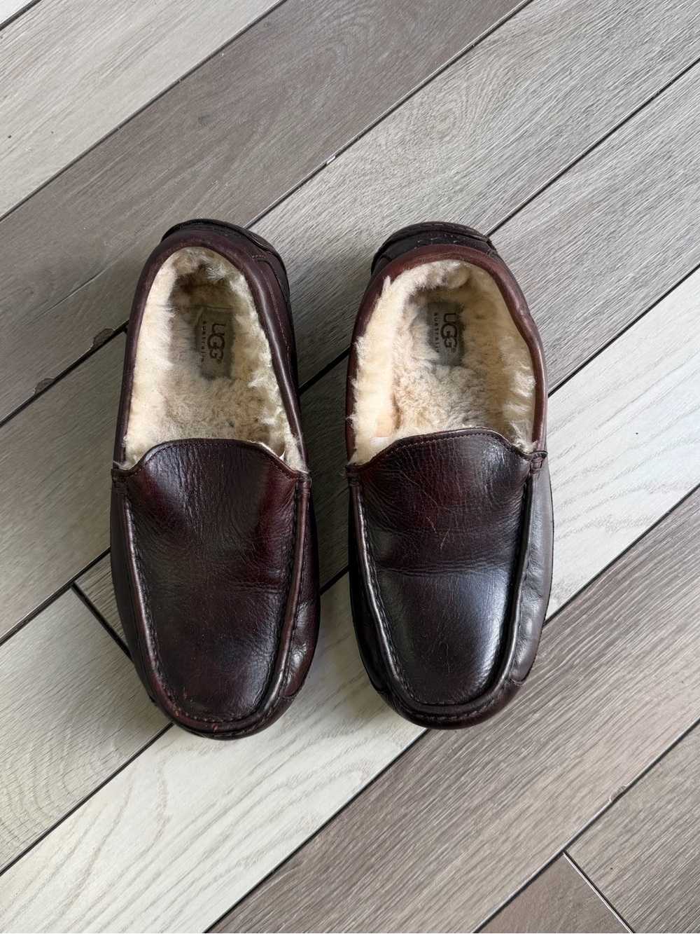 UGG Ascot Leather Slippers - Men’s